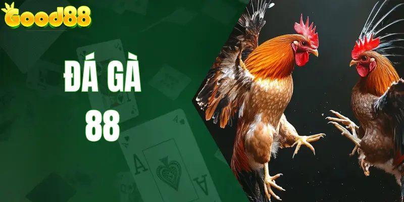 Đá Gà 88